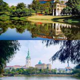 终于吃到了！松山湖隐藏粤菜，每一口都是幸福！