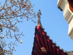 -长春观