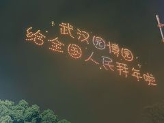 -武汉园博园(武汉自然博物馆)