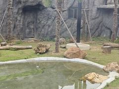 -武汉动物园