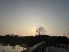 -昆山城市生态森林公园