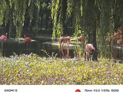 -石家庄市动物园