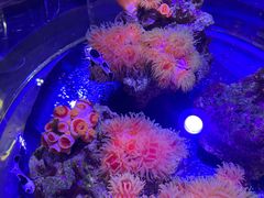 -海合安青岛极地海洋公园