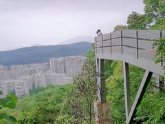 -福道