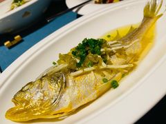 小黄鱼仔-三利音·玖弄小鲜(浦东嘉里城店)