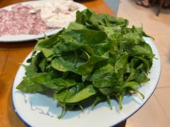 枸杞叶-华哥新鲜猪精品美食