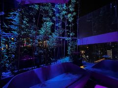 -SPARK(成都W酒店)