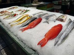 -国惠大酒楼(仓山万达店)