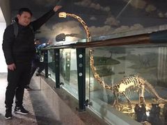 -自贡恐龙博物馆