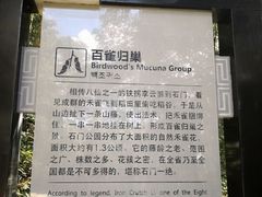 -广州市石门国家森林公园