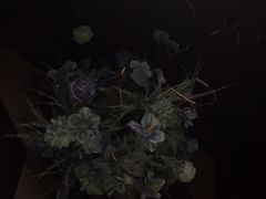 -黑桃K生日订制KTV