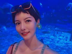 -烟台海昌鲸鲨海洋公园