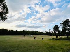 -上海吴淞炮台湾国家湿地公园