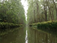 -合肥滨湖国家森林公园