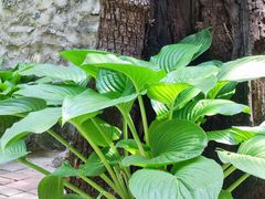 -红井路游艺炖锅·音乐餐吧(十渡店)