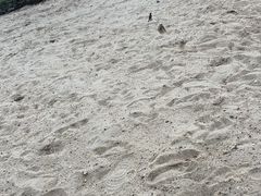-柳湖沙月沙滩公园