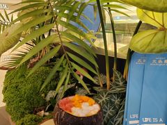 -大头椰·椰子鸡火锅(南宁万象城店)