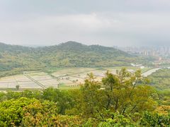 -风云岭森林公园