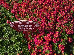 -富乐山