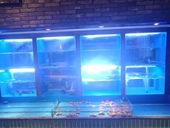 海鲜池-粤凤佬