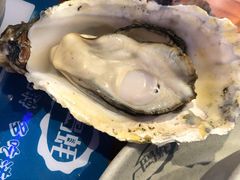 -千岛蚝高压锅生蚝·人参火锅(白云万达店)