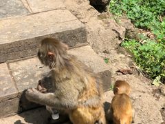 -黔灵山公园-南门售票处