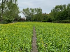 -北坞公园