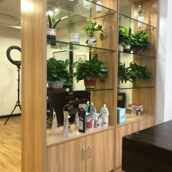 -Show fa salon 秀发沙龙