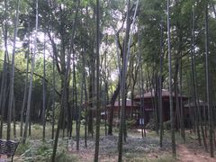 -同里国家湿地公园