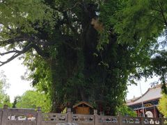 -大槐树寻根祭祖园