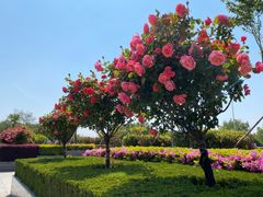 -中国药科大学（江宁校区）-图书馆