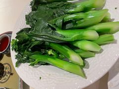 -金燕岛潮州酒楼