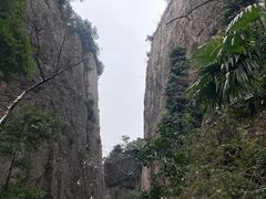-窦圌山风景区