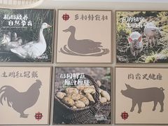 -杨厨的田园饭店(长城路店)