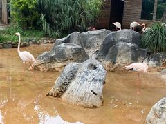 -昆明动物园