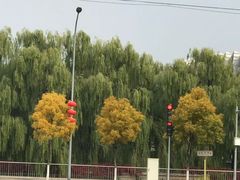 -明泽陆通汽车陪练(总店)