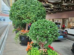 -北京中国大饭店