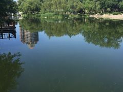 -仙品龙虾(总店)