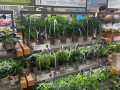 -鹿岛生活(熙地港店)