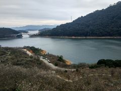 -广州市流溪河国家森林公园