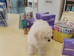 -瑞鹏宠物医院·骨科·猫科·内科(第一中心)