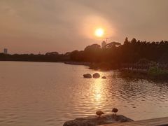 -海珠湖公园