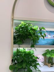 -苗医生0感科技祛痘