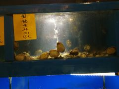 海鲜池-金苑海鲜酒家(新港中路店)