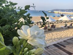 -亚龙湾中心广场