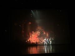 -合肥大剧院