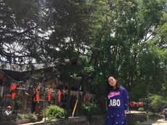 -浔岚云舍mist静谧观景美宿(丽江古城店)