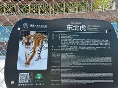 -横道河子东北虎林园