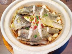 砂锅焗黄花鱼-1937青岛老味道·海肠捞饭·青岛菜(大鲍岛栈桥店)