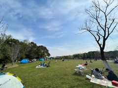 -昆山城市生态森林公园